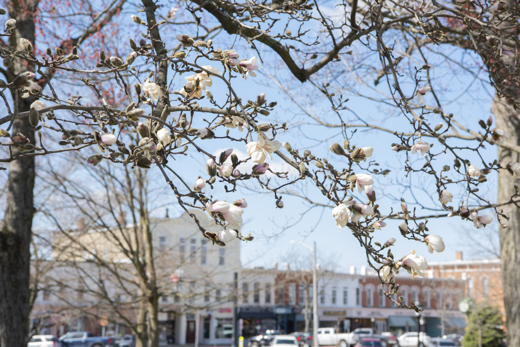 Spring has sprung?